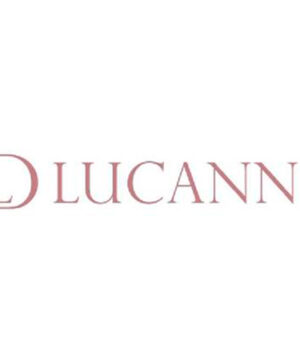 logo lucanni