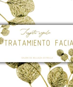 Tarjeta regalo Tratamiento Facial 60